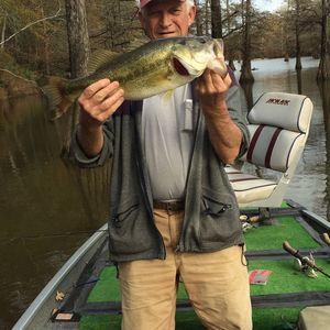 Meet your Posher, Howell